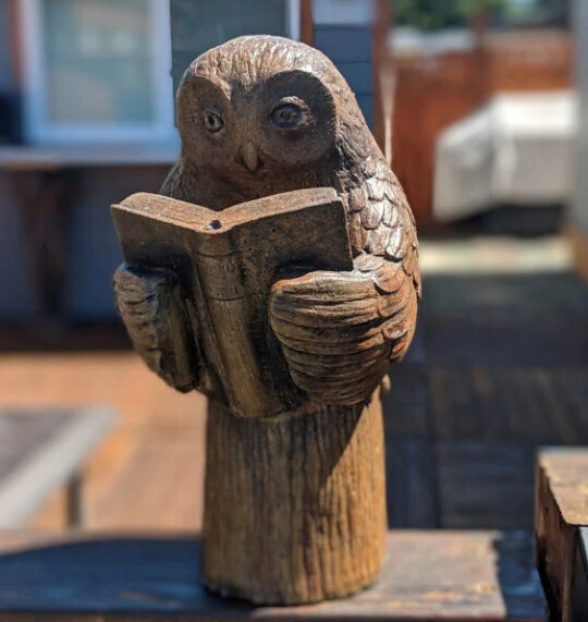 Statuary WS - Enlightened Owl Small