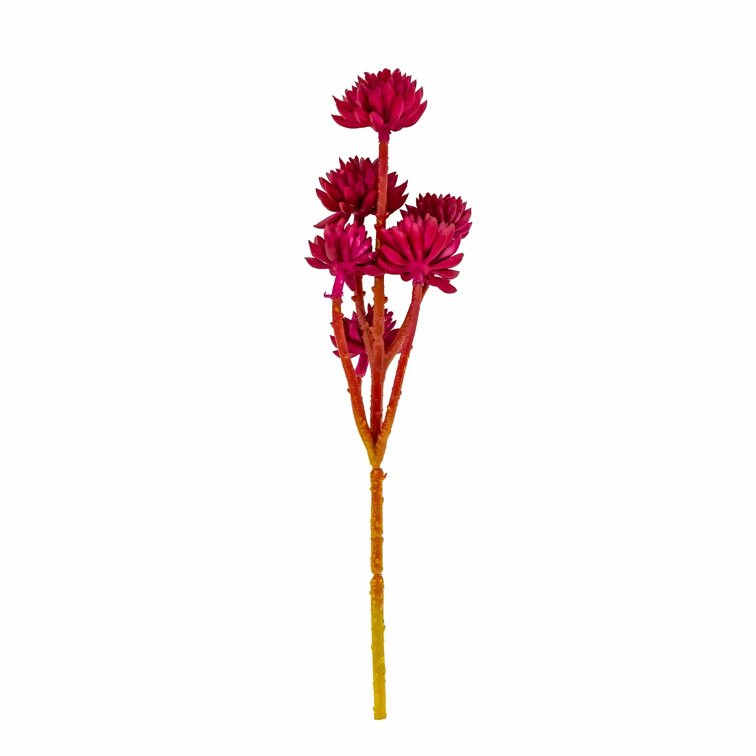 Pick - Purple Succulent