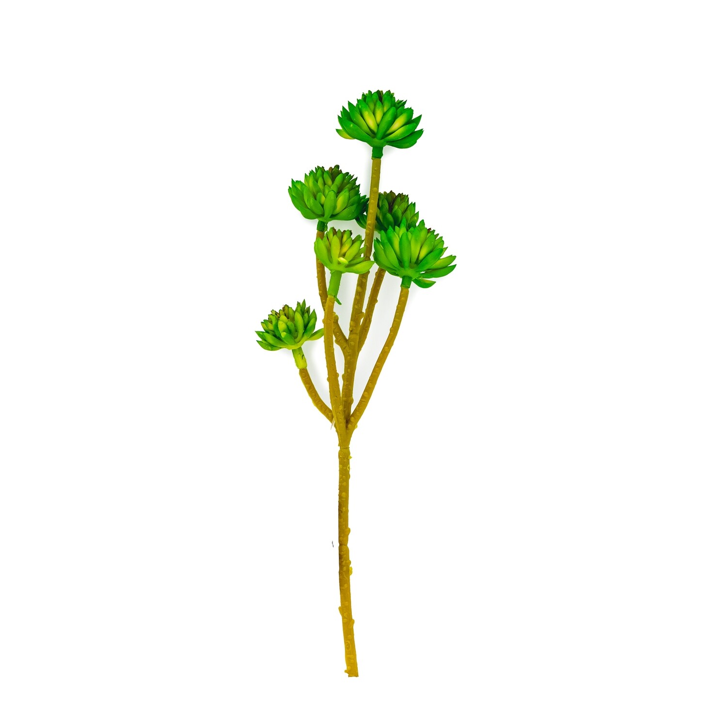 Pick - Green Succulent