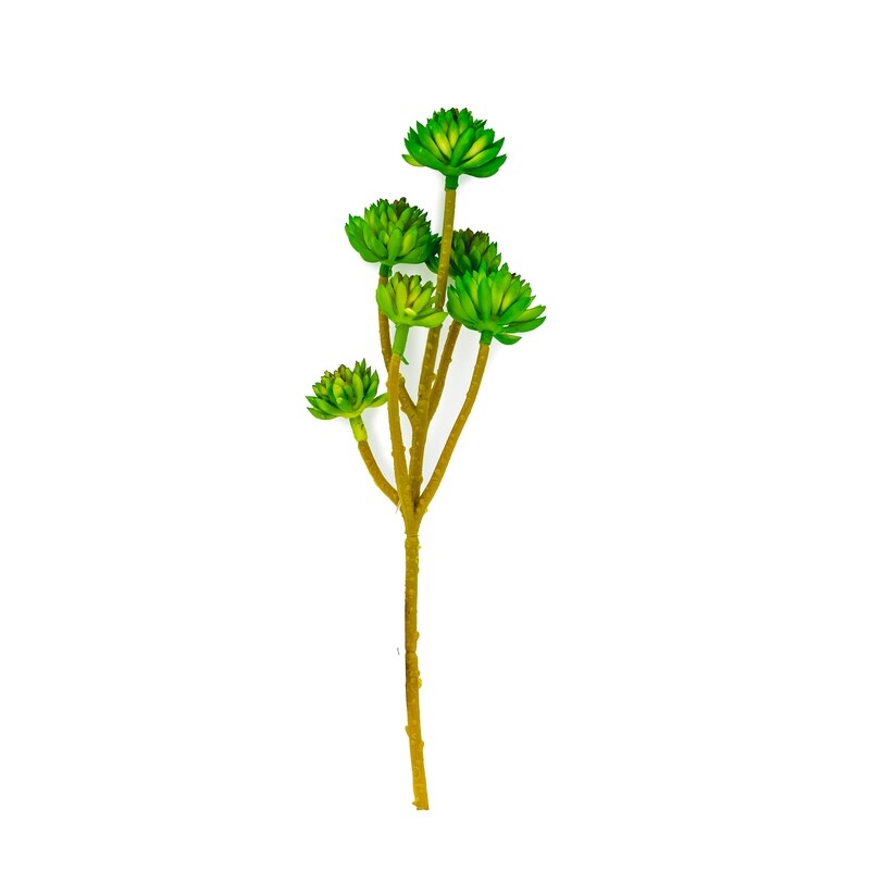 Pick - Green Succulent