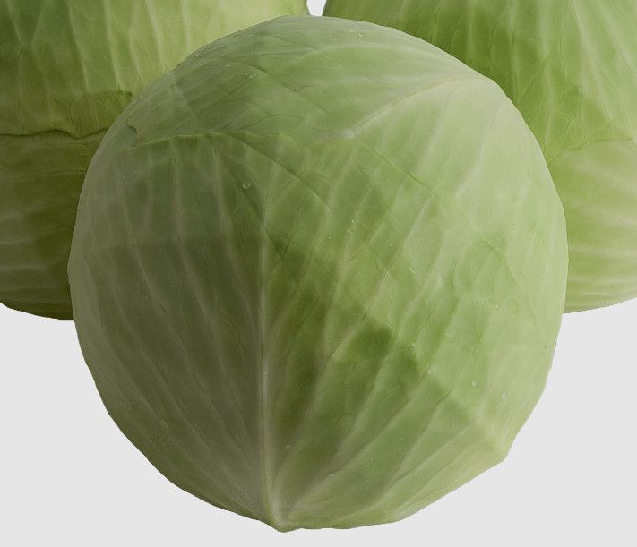 Cabbage Expectation (late) 4 cell pack