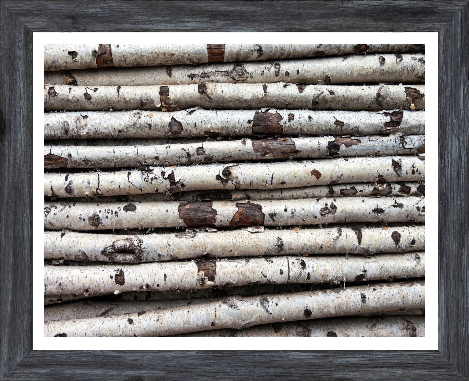 Art - Birch Abstract II, Color: Mini Grey 11&quot; x 14&quot;
