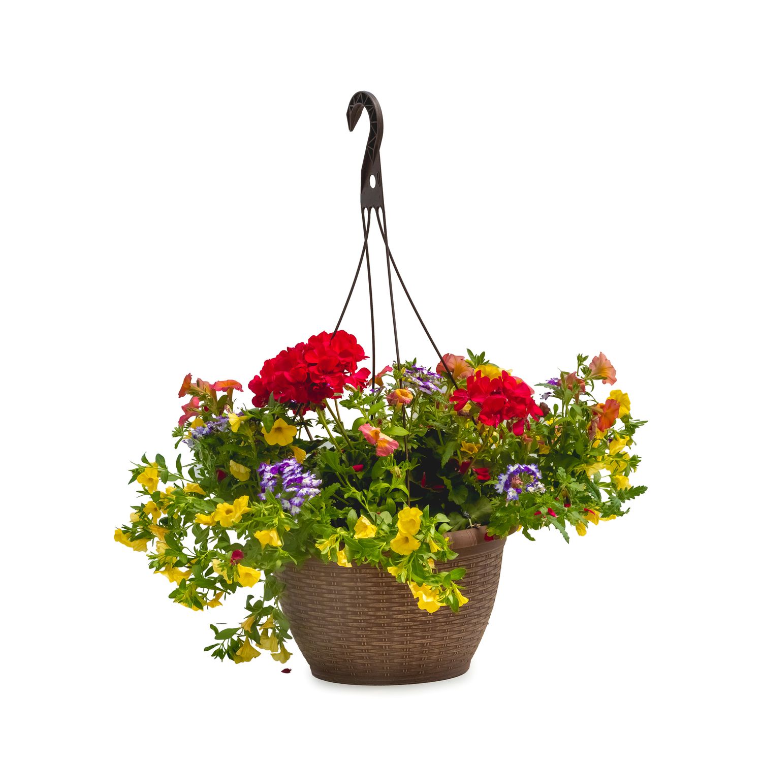 Premium 13&quot;  HB - Assorted