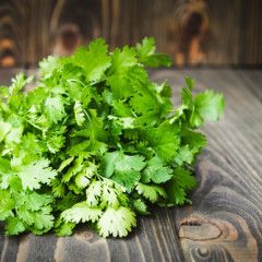 Cilantro 'Santo' 4"