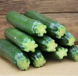 Zucchini &#39;Green&#39; 4&quot;