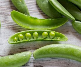 Peas &#39;Sugar Snap&#39; - 4 &quot;