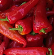 Hot Pepper Sriracha 4" (mild)