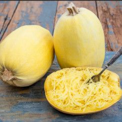 Spaghetti Squash 4"