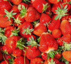 Strawberry &#39;Berri Basket Appleblossom&#39; - 12&quot; HB