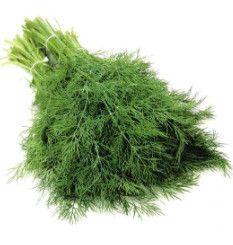 Dill Dukat 4"