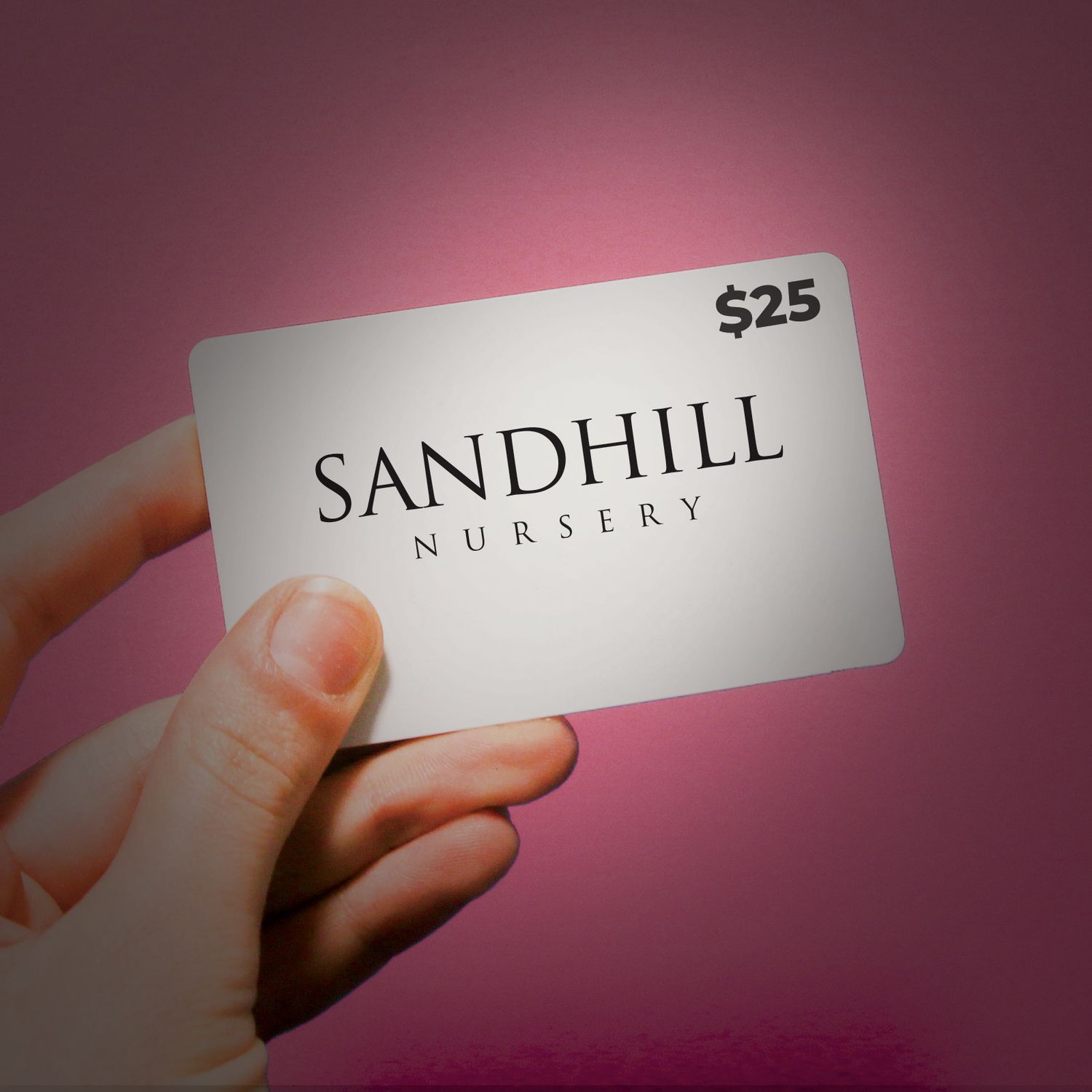Gift Card, Size: 25