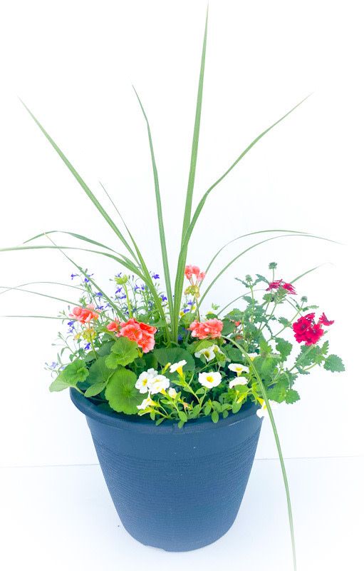 13&quot; Round Planter with Spike Centre Assorted Colours