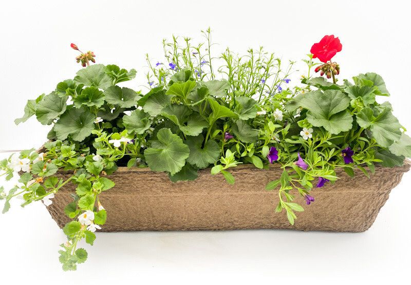 24" Fibre Window Box Assorted