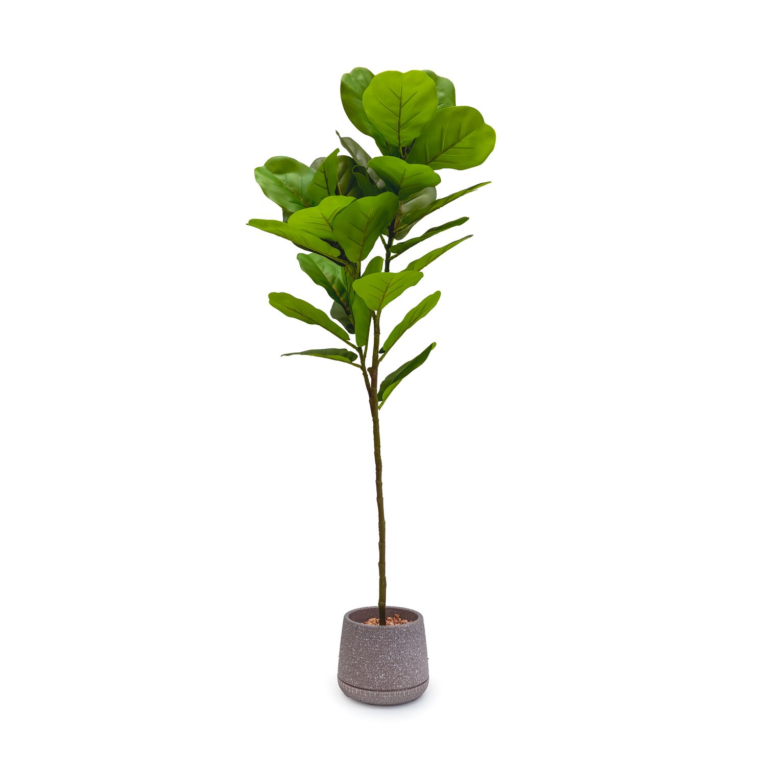 Faux Fig Pot - 98 cm