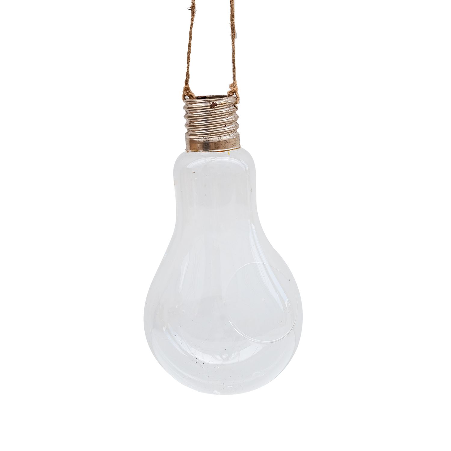 Glass Light Bulb Planter