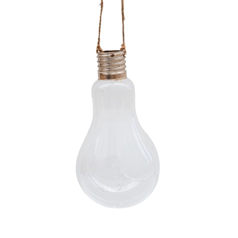 Glass Light Bulb Planter