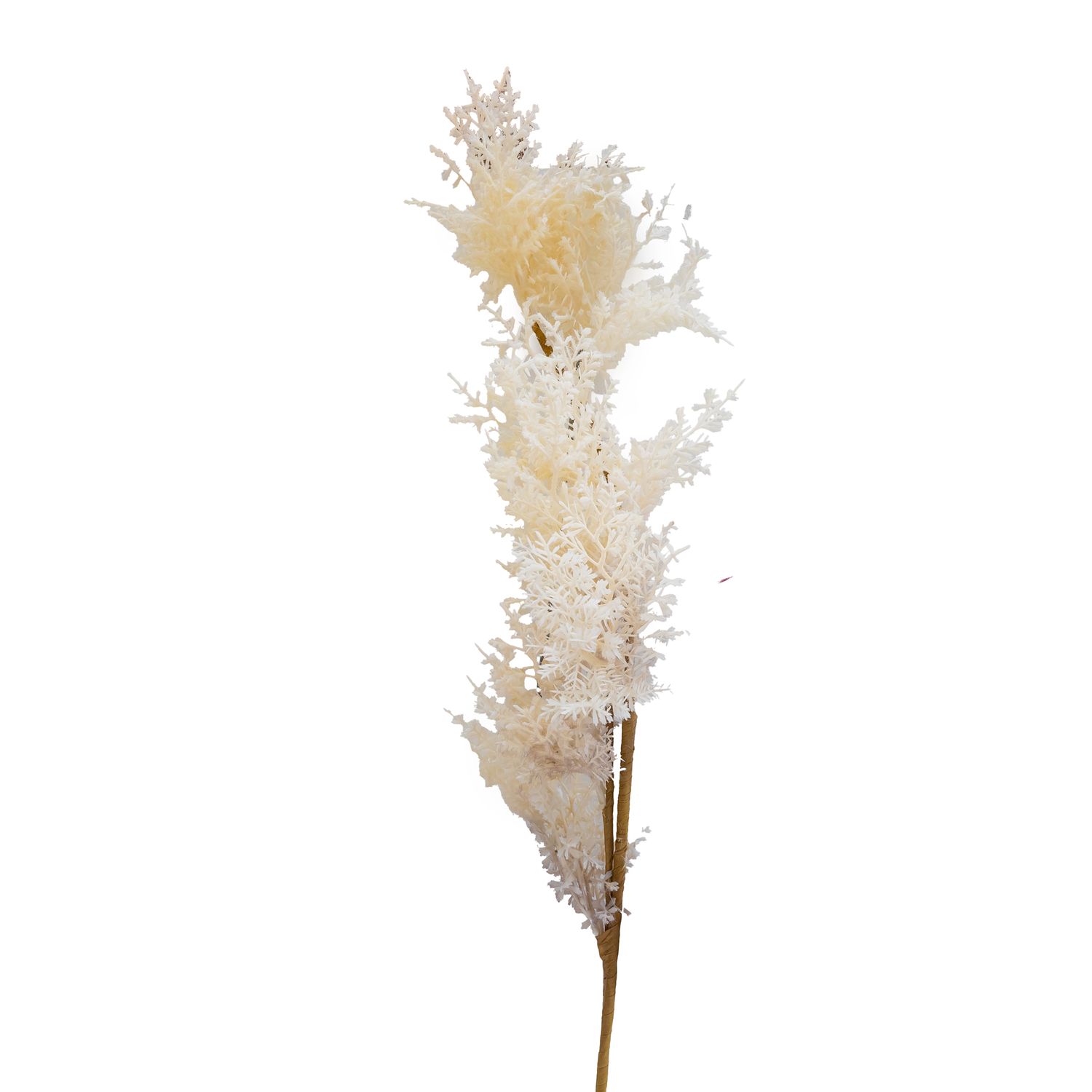 Pick - Fern White