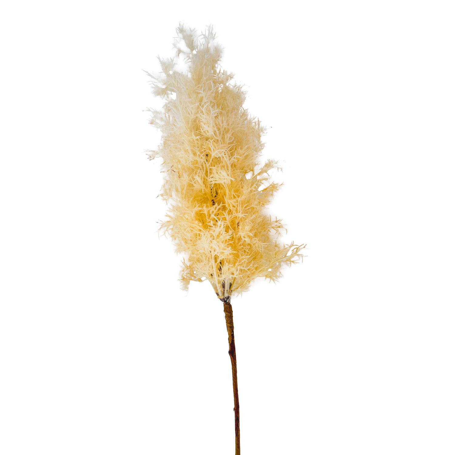 Pick - Brush Cream w Yellow