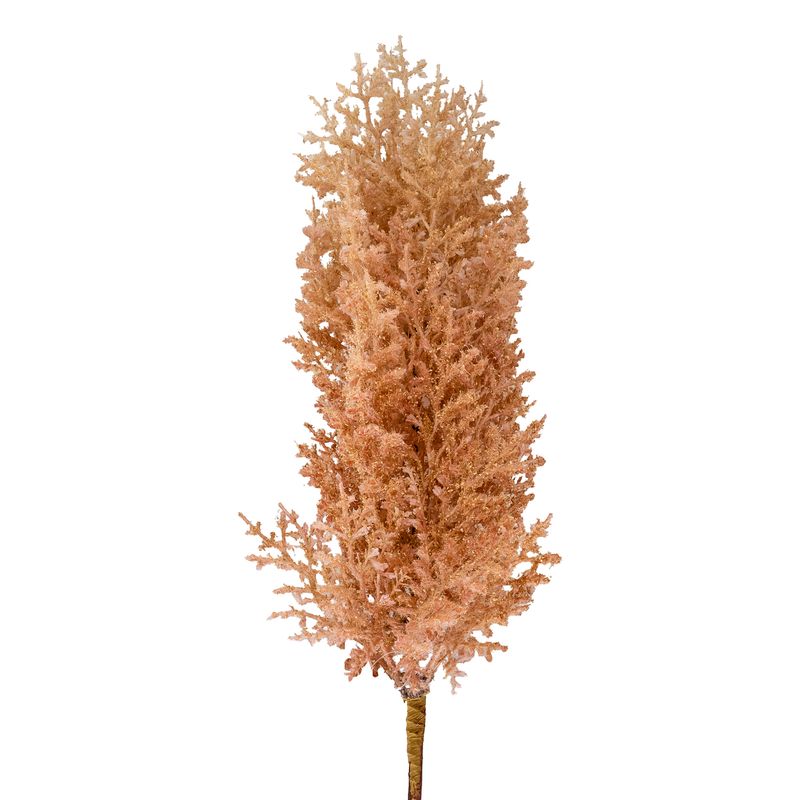 Pick - Brush Cream w Pink