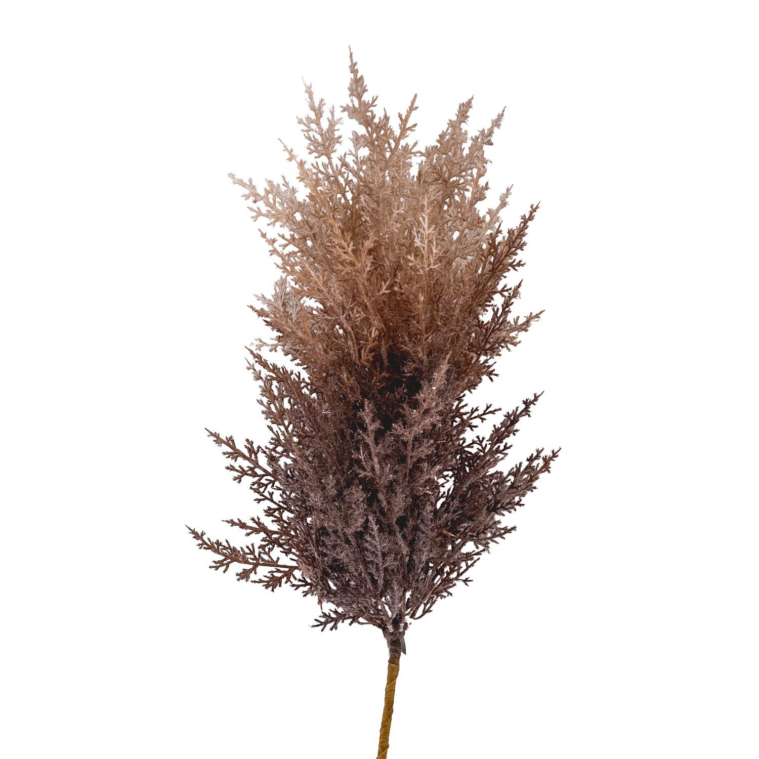 Pick - Brush Cream w Brown