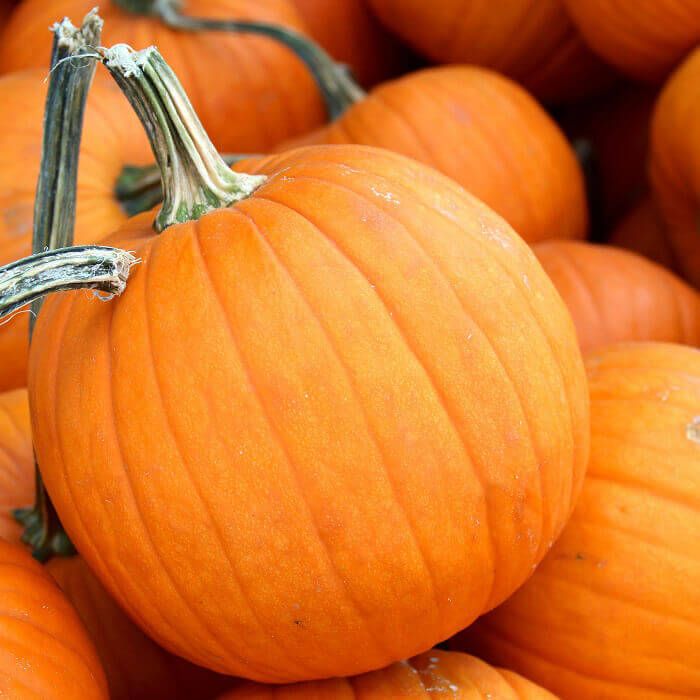 Pumpkin ORGANIC (seed pkg) - Small Sugar