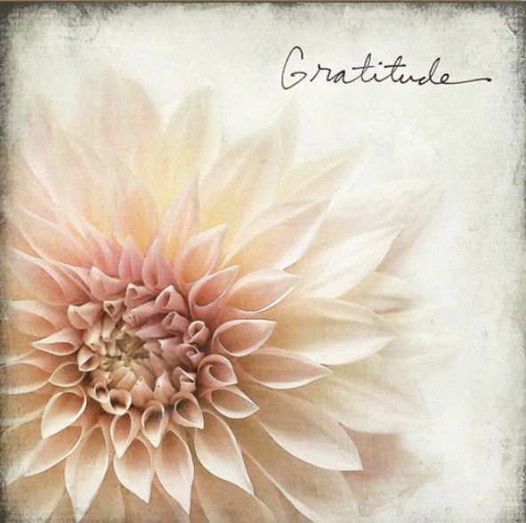 Thank You Card: Gratitude - Blank