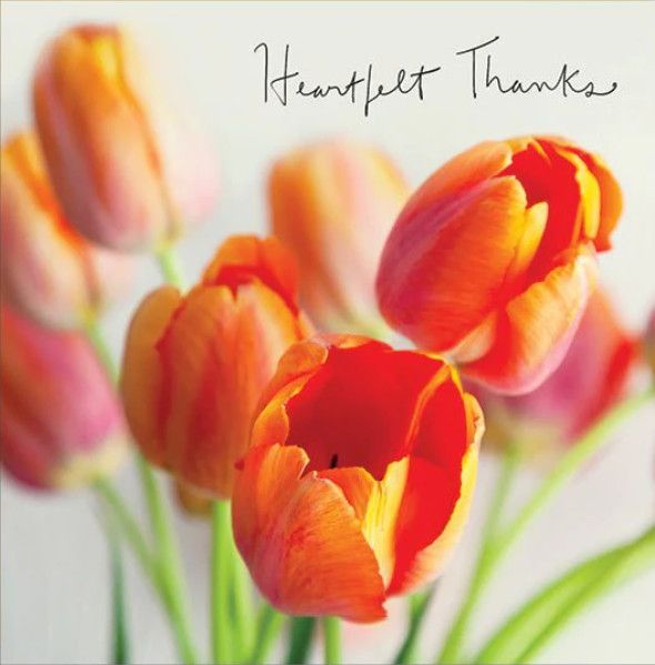 Thank You Card: Heartfelt Thanks - Blank