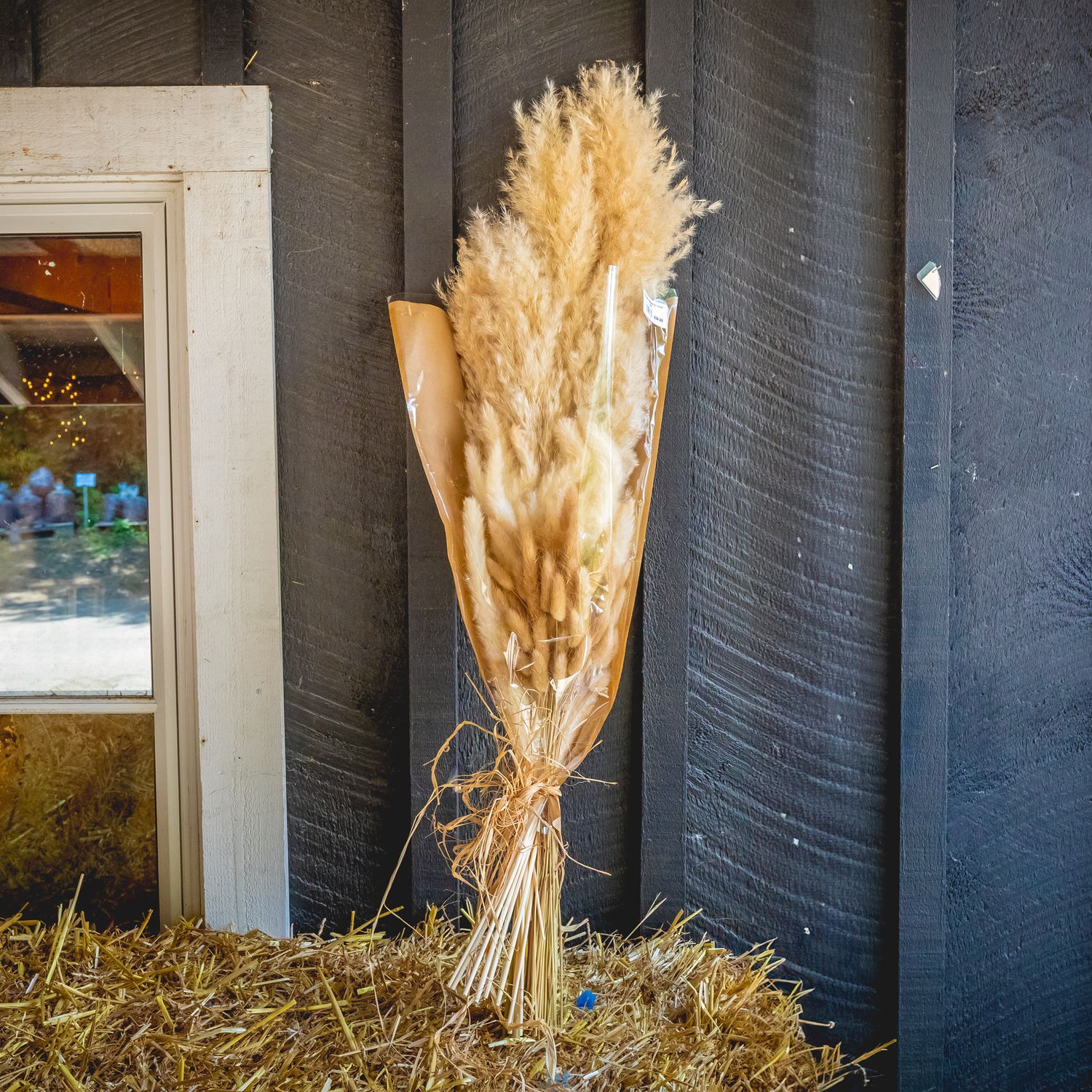 Bouquet - Pampas Grasses - med.