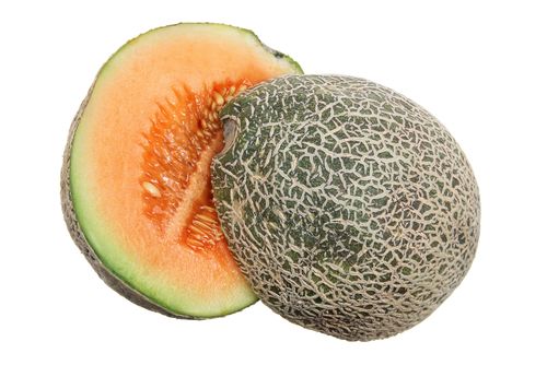 Cantaloupe Hale&#39;s Best 2 cell