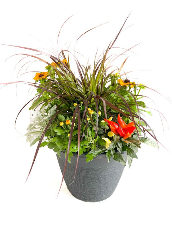 Fall Planter Mixed 13&quot; Round