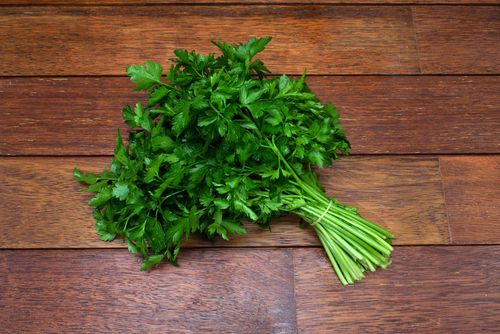 Parsley 'Italian' 4"