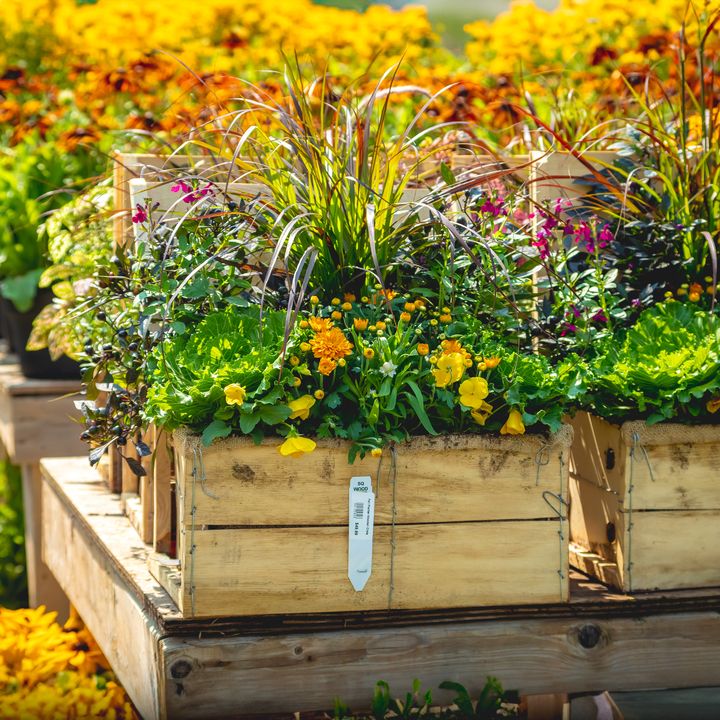 Fall Planter Wooden Crate