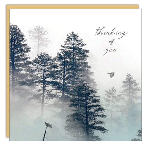Sympathy Card: Thinking of You - blank
