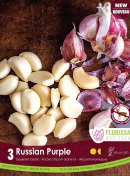 Garlic (bulb pkg) Russian Purple Tops (3/pkg)