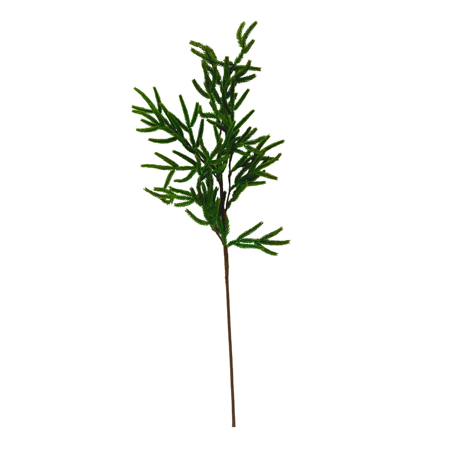 Faux Pick - Norfolk Pine 31&quot;