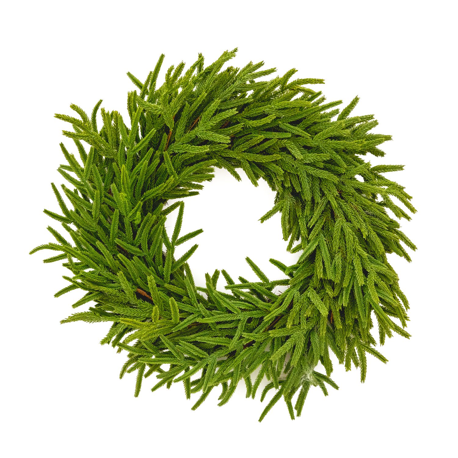 Wreath - Faux Norfolk Pine 26&quot;