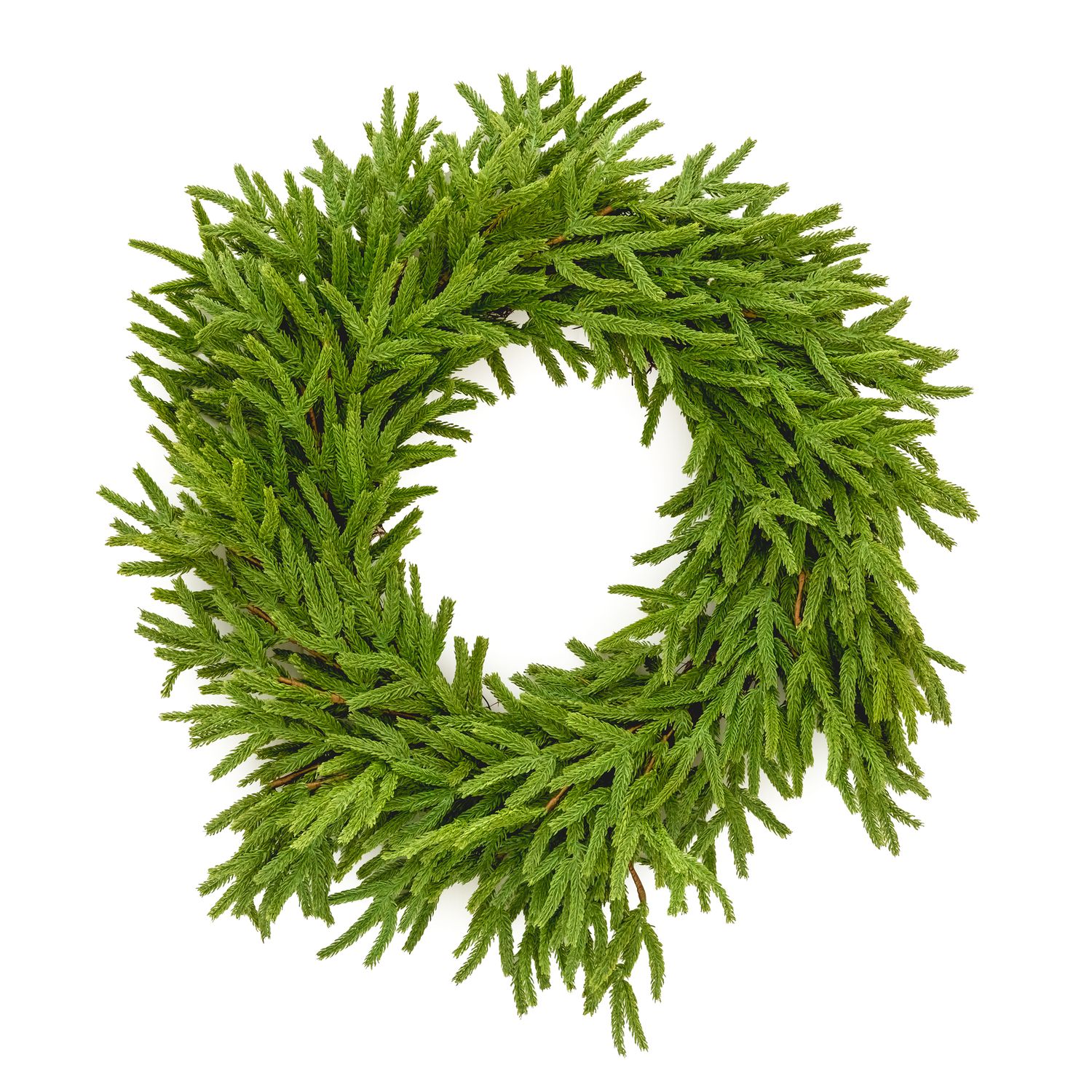 Wreath - Faux Norfolk Pine 28&quot;