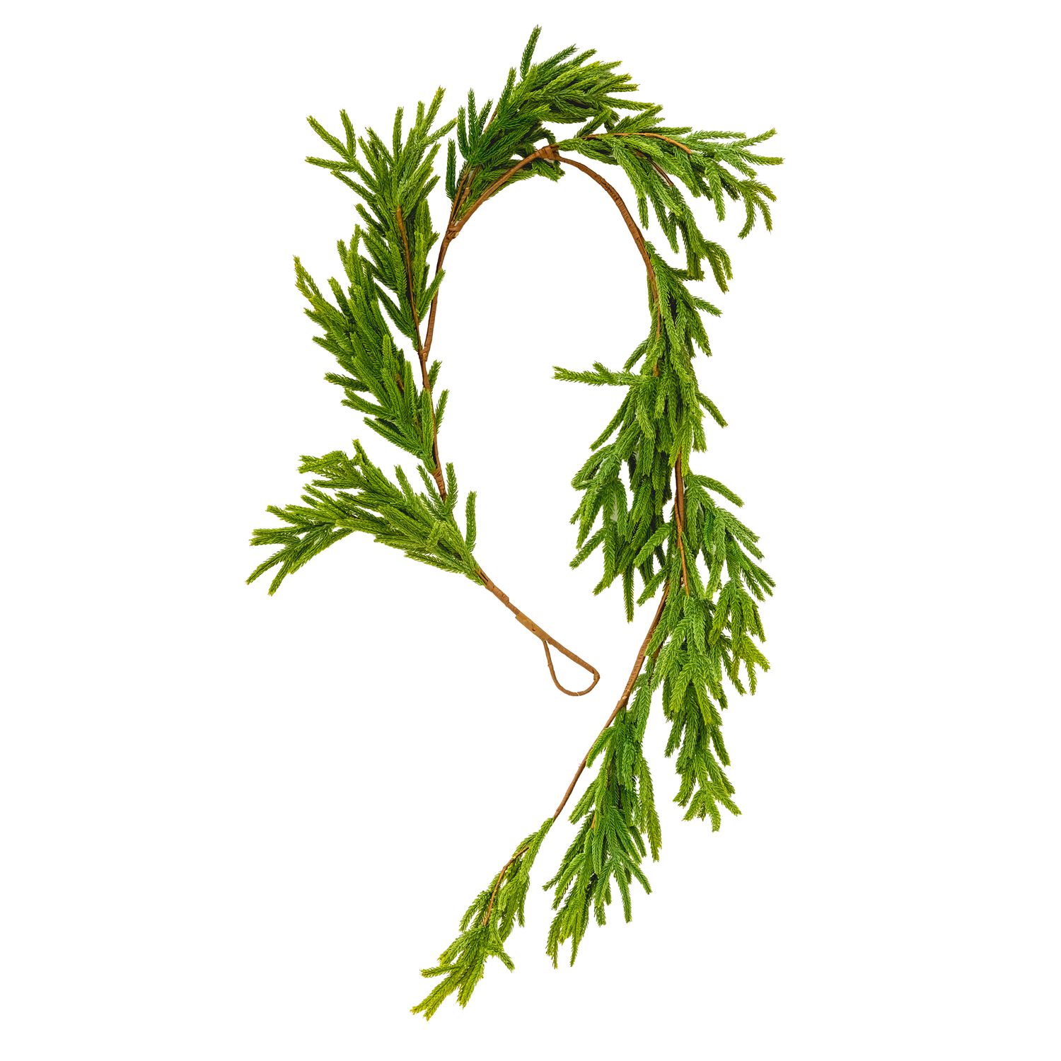 Garland - Faux Norfolk Pine 5.5&#39;
