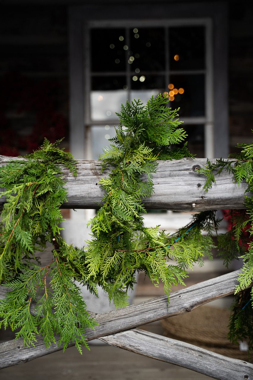 Fresh Garland - Cedar, Size: 25&#39;