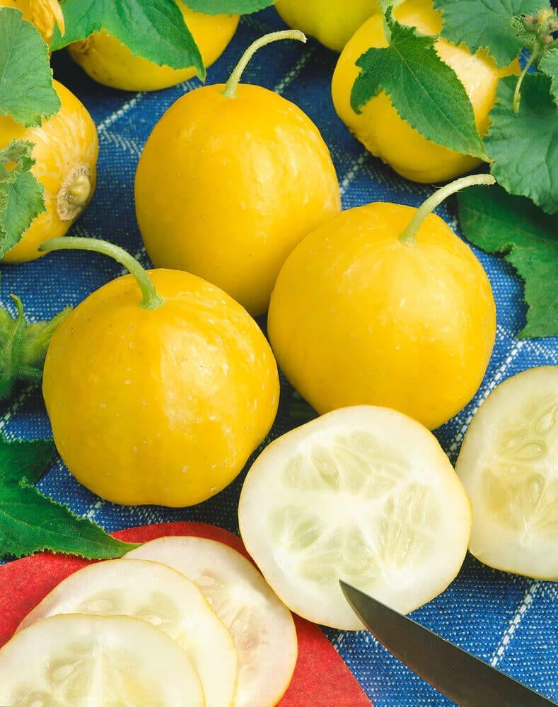 Cucumber (seed pkg) Lemon (sm pkg)