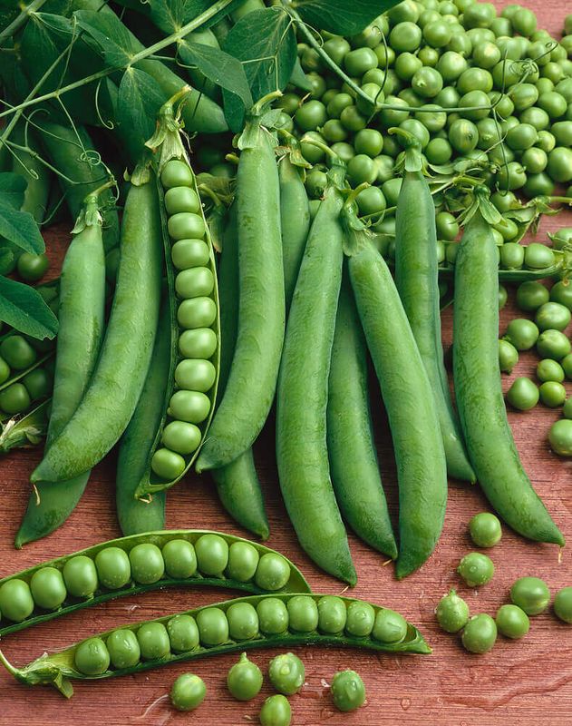Peas (seed pkg) Green Arrow