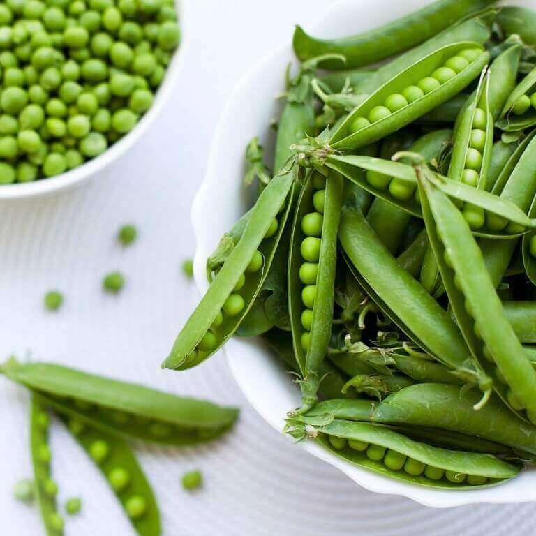 Peas (seed pkg) Laxtons Progress (small)