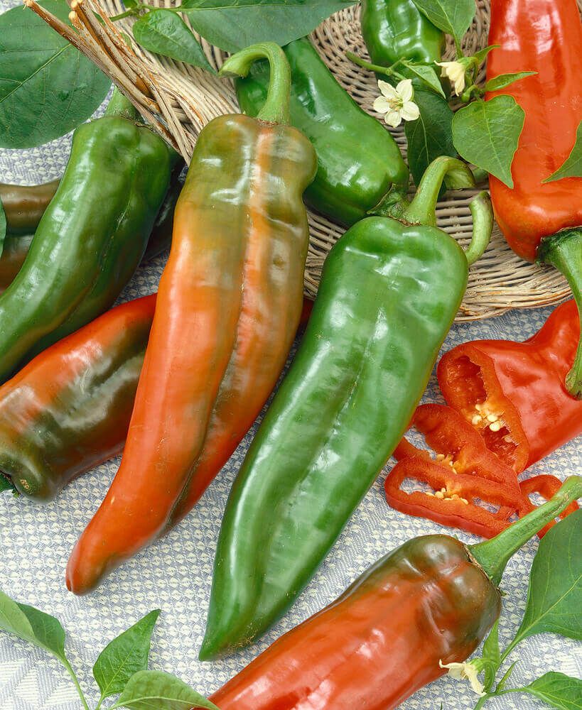 Peppers (seed pkg) Salsa Anaheim