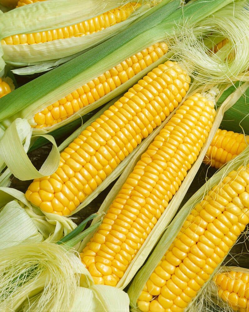 Sweet Corn (seed pkg) Golden Bantam (small pkg)