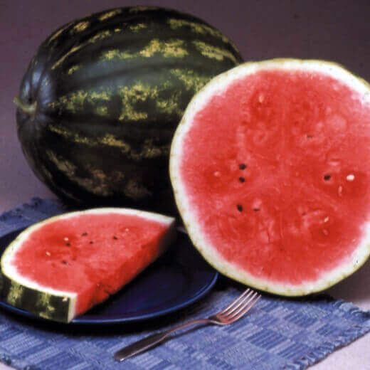 Watermelon (seed pkg), Variety: Crimson Sweet