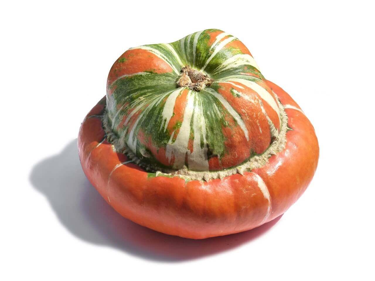 Squash (seed pkg) Turk&#39;s Turban (large pkg)