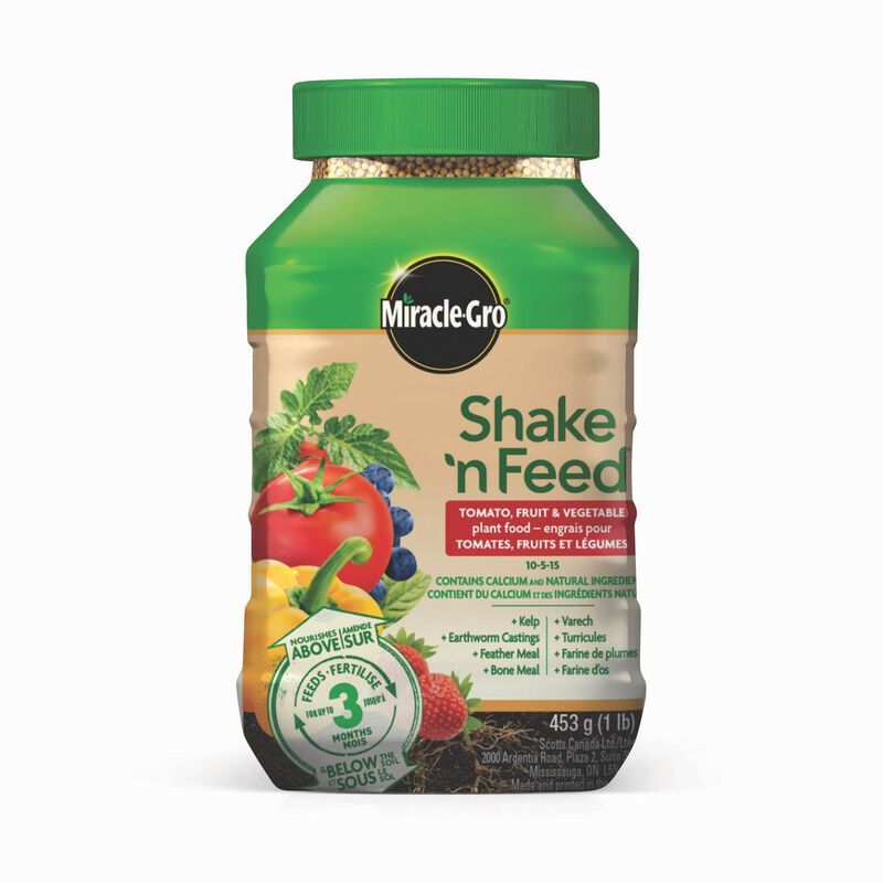 Miracle-Gro Shake &#39;n Feed Tomato Fruit Veg 453g