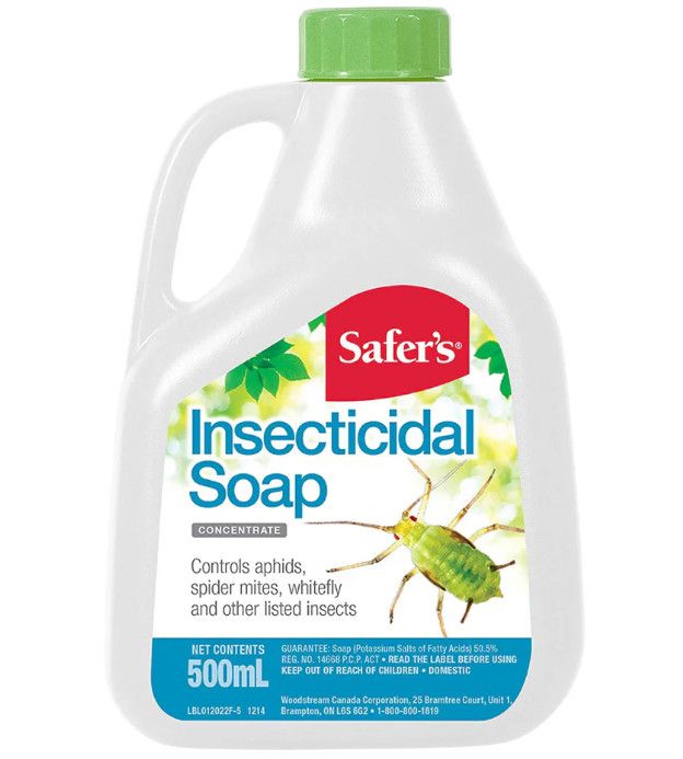 Safers Insecticidal Soap Concentrate 500 ml
