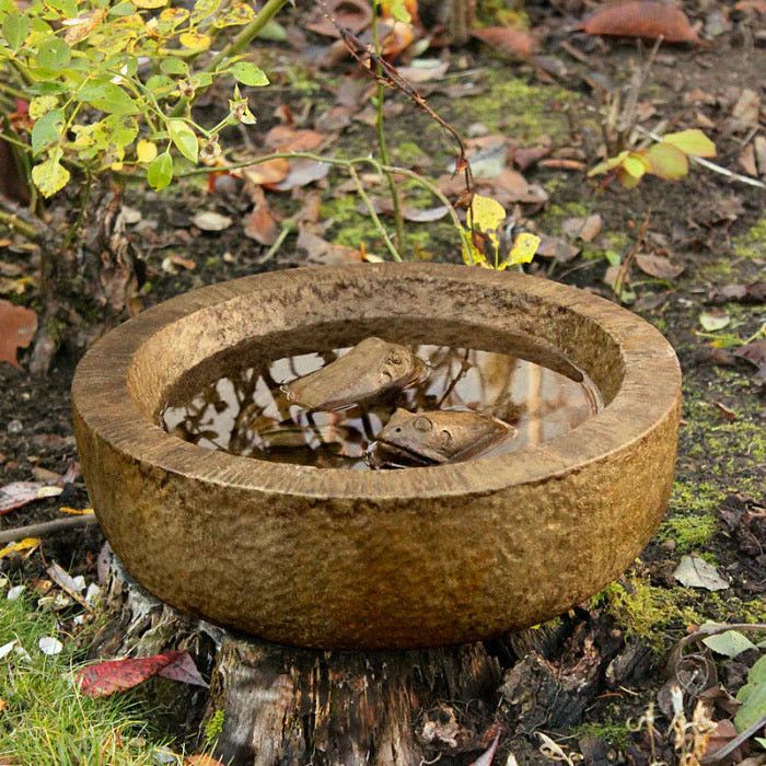 Statuary WS - Frog Bowl
