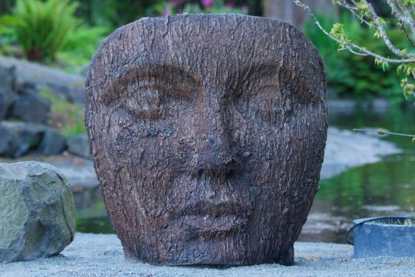 Statuary WS - Giant Face in Bark